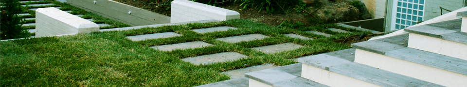 Grass and Steps